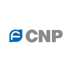 CNP(CNP)